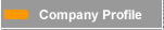 Company Profile